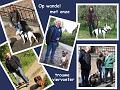 MG Herfstwandeling (2)